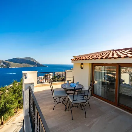 Palmiye Centre 别墅